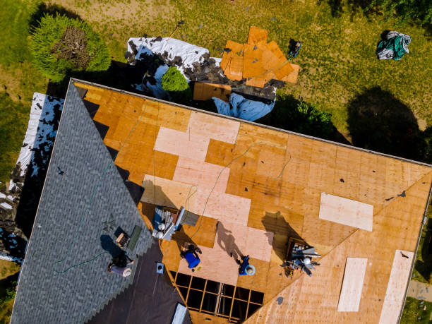 Best Storm Damage Roof Repair  in La Follette, TN