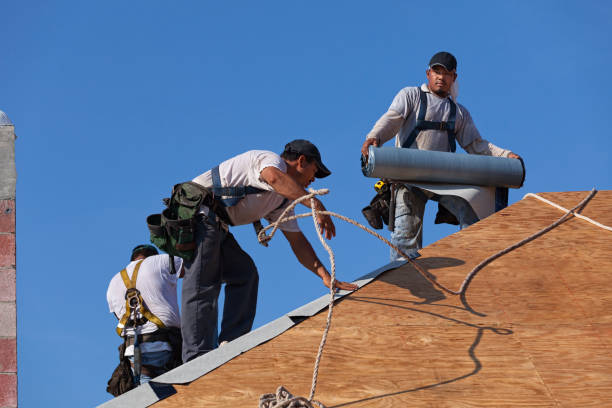 Gutter Installation and Roofing in La Follette, TN