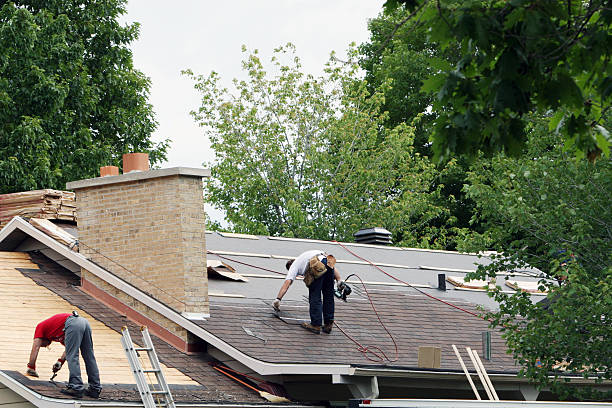 Best Local Roofing Companies  in La Follette, TN
