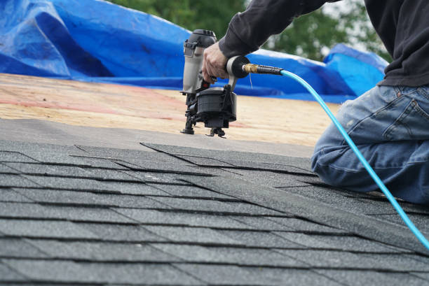 Best Metal Roofing Contractor  in La Follette, TN