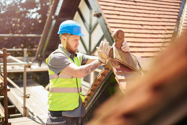 Best Gutter Installation and Roofing  in La Follette, TN
